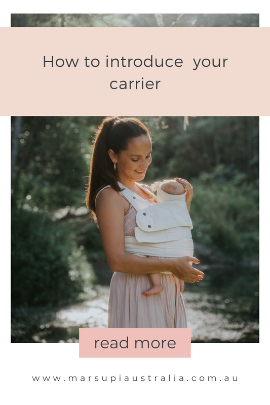 Marsupi Tips: How to Introduce your Carrier
